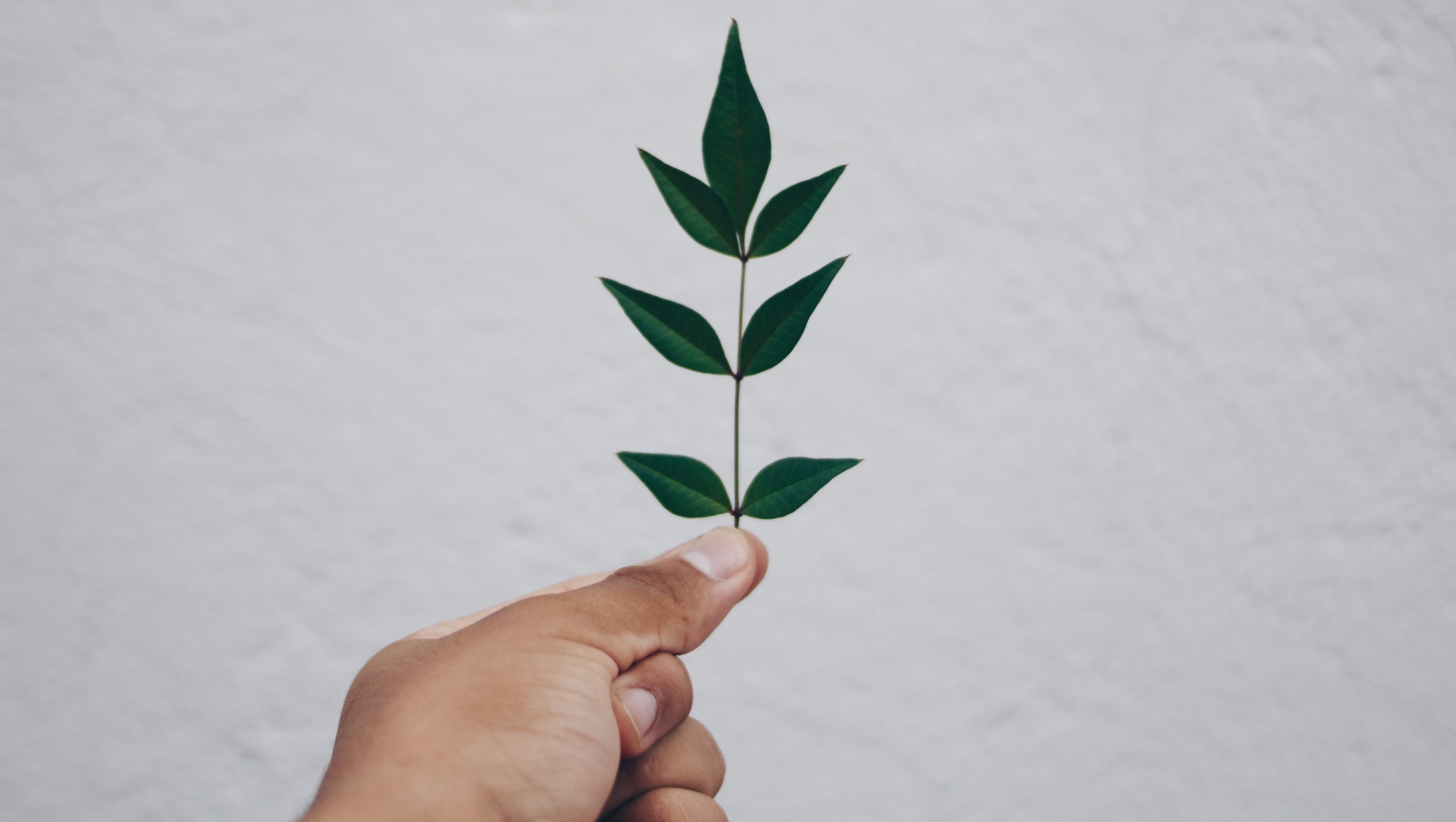 5 tipů, jak se zbavit ekologické úzkosti