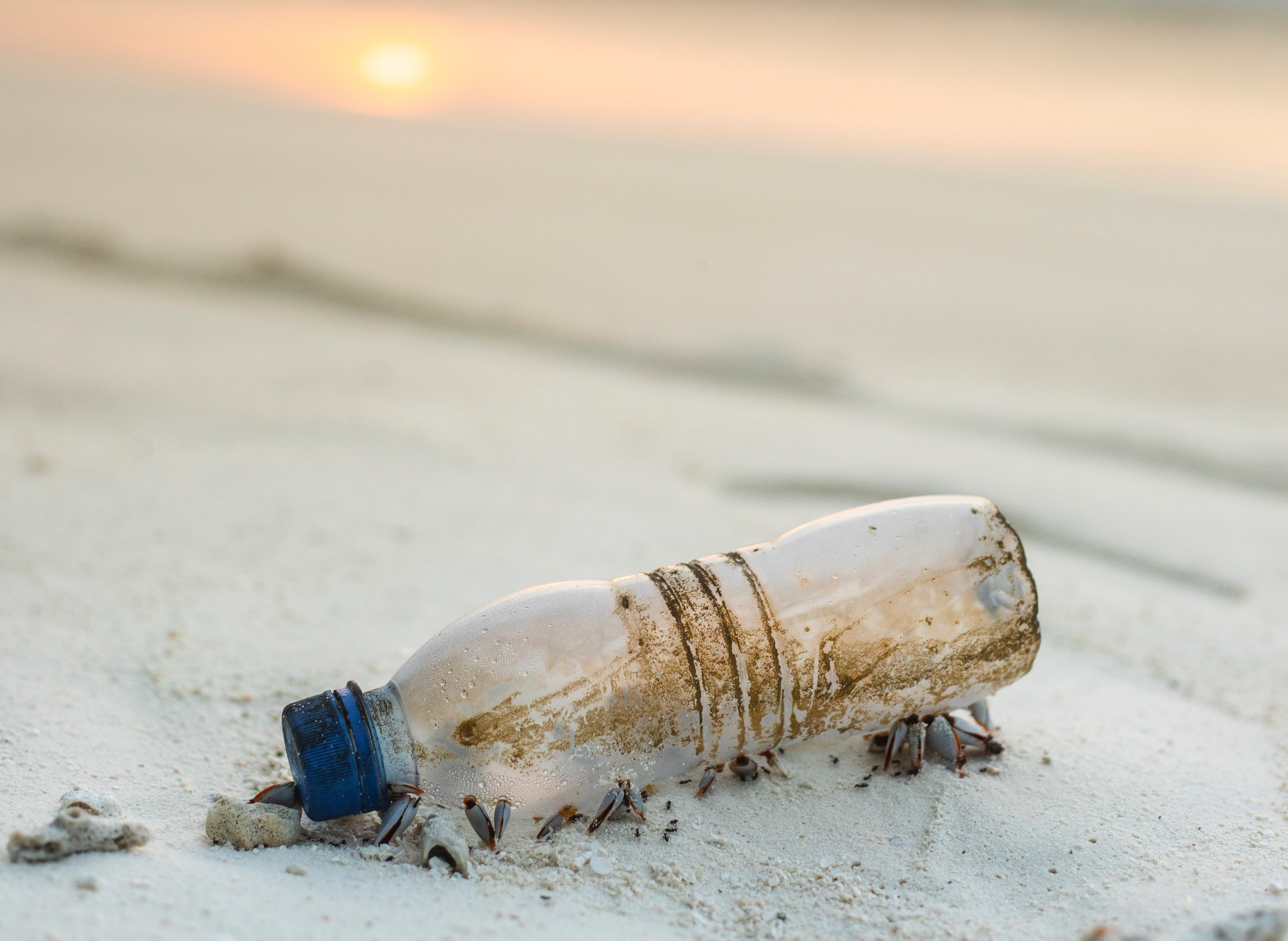 Jsou bioplasty opravdu BIO aneb není plast jako plast