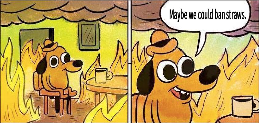 Maybe we could ban straws