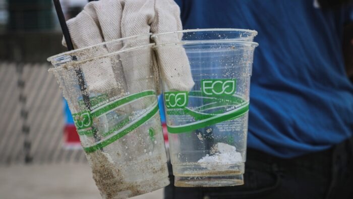 Co je to greenwashing?