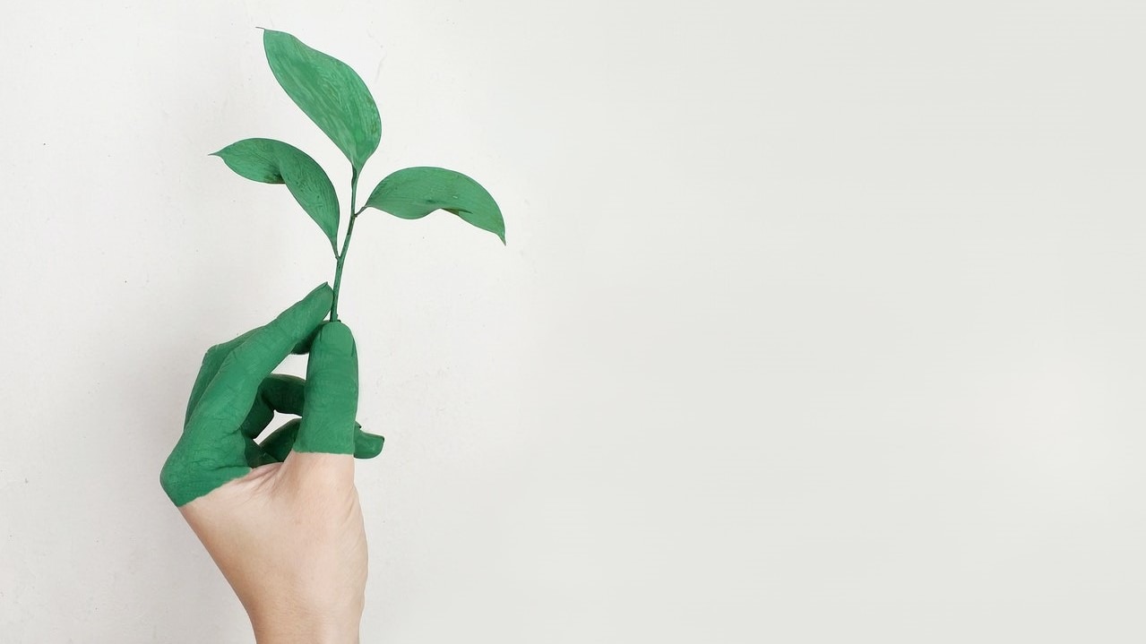 Co je to greenwashing?